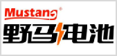 野马电池
